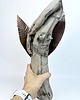 Ozdoby na ścianę Rzeźba ceramiczna 6