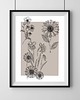 plakaty Plakat Flowers 1.0 3