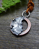 wisiory Copper & Oak Leaf 1