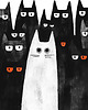plakaty Plakat - Kitten overload 3 2