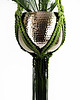 kwietniki XXL kwietnik 'ROCOCO OLIVE' 8