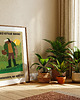 plakaty Plakat Grzyby 2