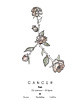 plakaty Plakat Kolor Znaki Zodiaku Rak Cancer- kwiatowa konstelacja gwiazd 2