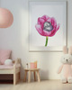 plakaty Plakat Chomiczek w Tulipanie 2