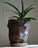 doniczki ŚLADY NATURY VI _doniczka ceramiczna_rudości 4