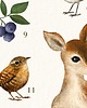 plakaty Plakat "W LESIE" 40x50 cm 4