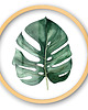 obrazy Szklany obraz - Monstera - Wall Me 6