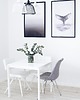 plakaty Plakat Ogon roz. 61x90 cm 2