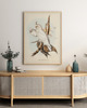 plakaty Plakat PARROTS 1