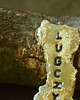 kuchnia - różne LUBCZYK_czarne litery_zielnik 2