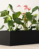 doniczki Donica Rodos na parapet 80 cm 2