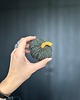 dodatki - różne Dynia ozdobna handmade, rozmiar S, zielona z pomarańczowym ogonkiem- 1 szt. 5
