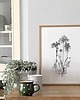 grafiki i ilustracje Aminek 30x40 - grafika botaniczna 1