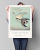 plakaty Ohara Koson - Art Poster 1