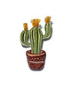naszywki na ubrania Naszywka Cactus 1