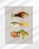 plakaty Plakat / Surrealistyczny Kolaż / Fish Out Of Water 1
