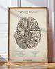 plakaty Plakat Tętnice Mózgu Vintage 2