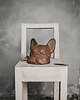 figurki i rzeźby Buldog francuski kolor RUSTY -  figura - KUFA.design 7