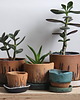 doniczki Mała doniczka ceramiczna 3