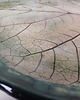 patery i talerze Duża Patera ceramiczna liść 5