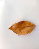 pojemniki na biżuterię Podstawka ceramiczna liść 1
