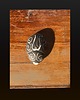 figurki i rzeźby Rzeźba ceramiczna - Skarabeusz 4