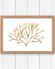 grafiki i ilustracje PLAKAT dekoracyjny ,koralowiec grafika, beżowy obraz 5