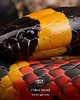 chokery coral snake . naszyjnik z kości i agatu 4