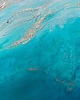 obrazy Granatowy obraz abstrakcyjny - obraz ze złotem Maldives XX  80x120 cm 5
