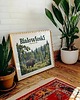 plakaty Plakat Białowieski Park Narodowy - Druk Pigmentowy 4