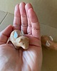 figurki i rzeźby Świnka ceramiczna 2