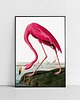 plakaty Flaming vintage 50x70 cm - plakat B2 2