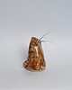 figurki i rzeźby Ceramiczny kot na kocie wąsy wibrysy 4