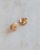 kolczyki pozłacane Kolczyki Golden Seashell 1