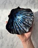 pojemniki na biżuterię Podstawka na Biżuterię Palo Santo Ceramiczna Muszelka Midnight Ocean 4