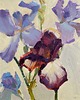 obrazy "Irysy" 24*30 cm/malarstwo olejne 1