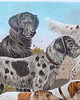 grafiki i ilustracje PSY    Chromolitografia 2