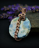 wisiory Koral fossil wisiorek wire wrapping 3