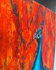 obrazy Obraz Olej Paw Czerwień 40x60 Impasto Abstrakcja Pióra Faktura 5