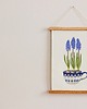 plakaty Plakat Szafirki w filiżance 1