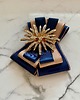 broszki Brosza z Kolekcji  Glamour z nowoczesnym kwiatem NEW 4