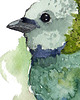 plakaty Plakat- ilustracja TURKUS  50x70cm 1