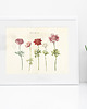 plakaty Plakat botaniczny z kwiatami Retro vintage 2