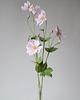 dodatki - różne Dekoracja botaniczna, kwiaty z papieru - anemony, zawilce 1