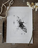 grafiki i ilustracje Motyl print 30x40 cm 2