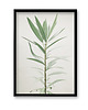 plakaty Plakat Galeria botaniczna mała 5