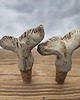 butelki wielorazowe Zestaw ceramicznych korków do wina Płetwy 1