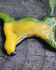 magnesy Ceramiczny magnes kot żółto-zielony 1