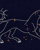 plakaty Plakat Cosmo Dog 1