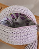 torby na ramię Mała okrągła torebka - lilac 2